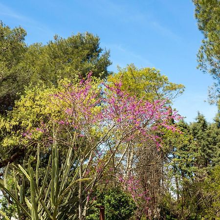 Alfa Country House Villa Salento レークイレ エクステリア 写真