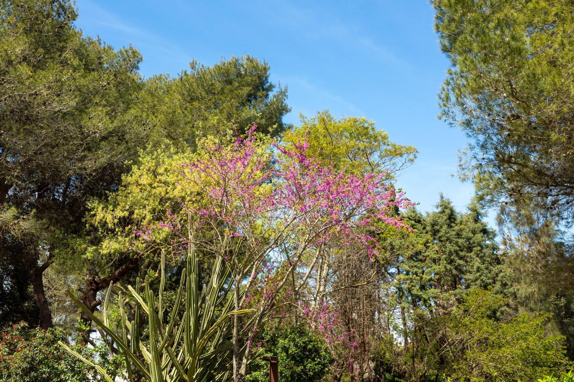 Alfa Country House Villa Salento レークイレ エクステリア 写真